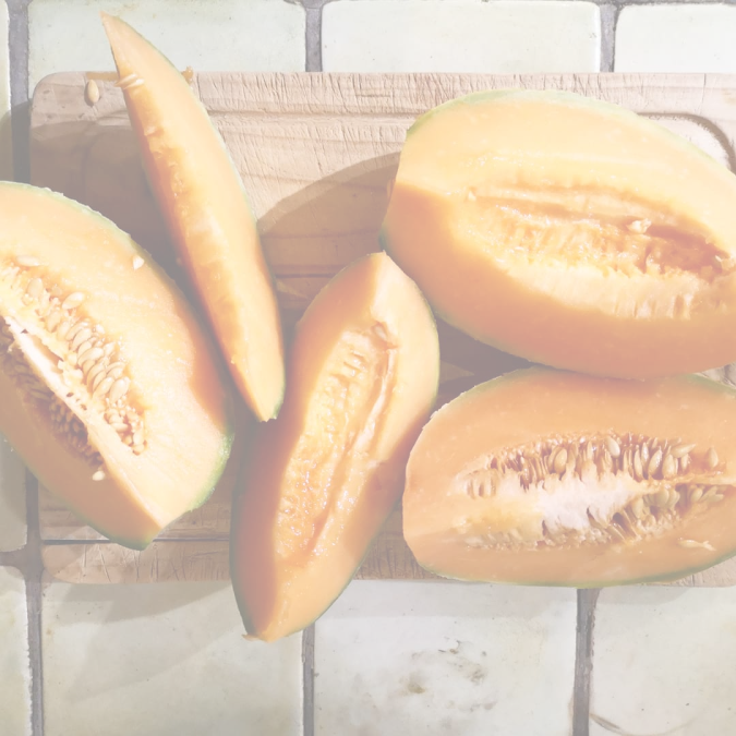alimentation fond blanc