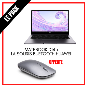 HUAWEI MateBook D 14 (2020 AMD)