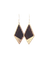 diospyros 2