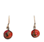 image removebg preview 20