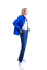 habile 1