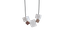 img 3866 removebg