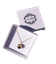 image removebg preview 2