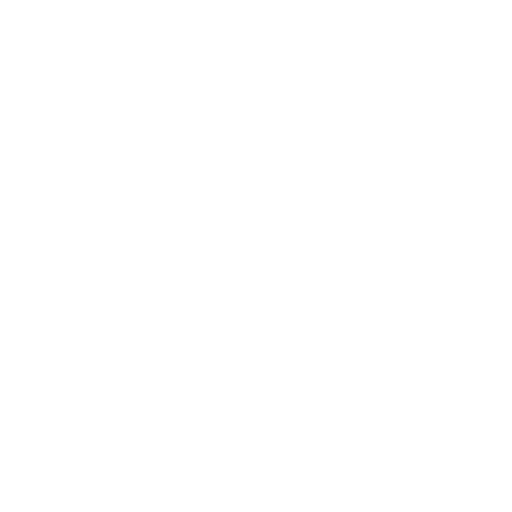 prototype