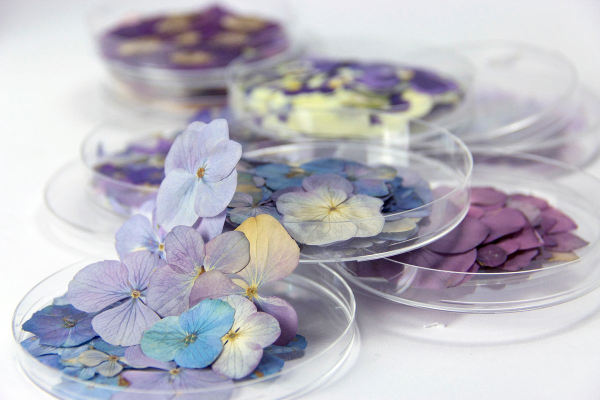 photo atelier03
