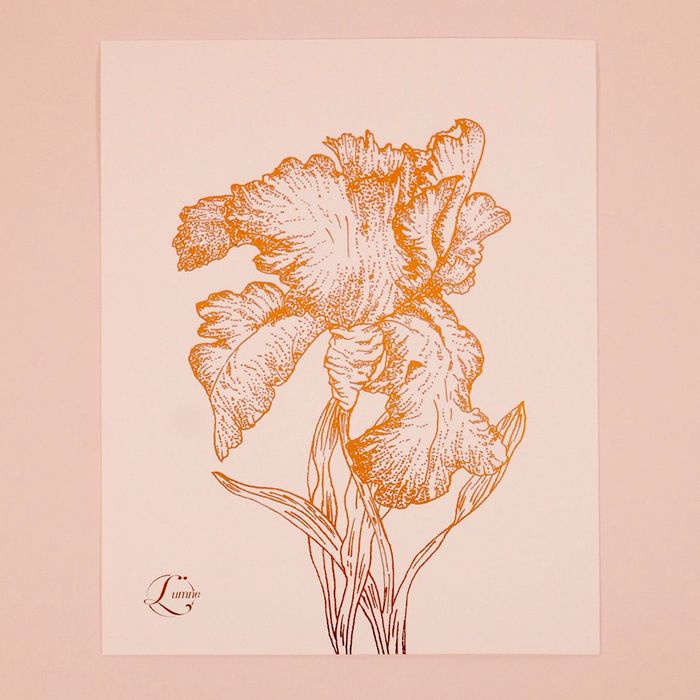 Cartes A5 cuivrées Ann & Iris