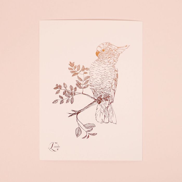 Cartes A5 cuivrées Camilla & Cacatoès