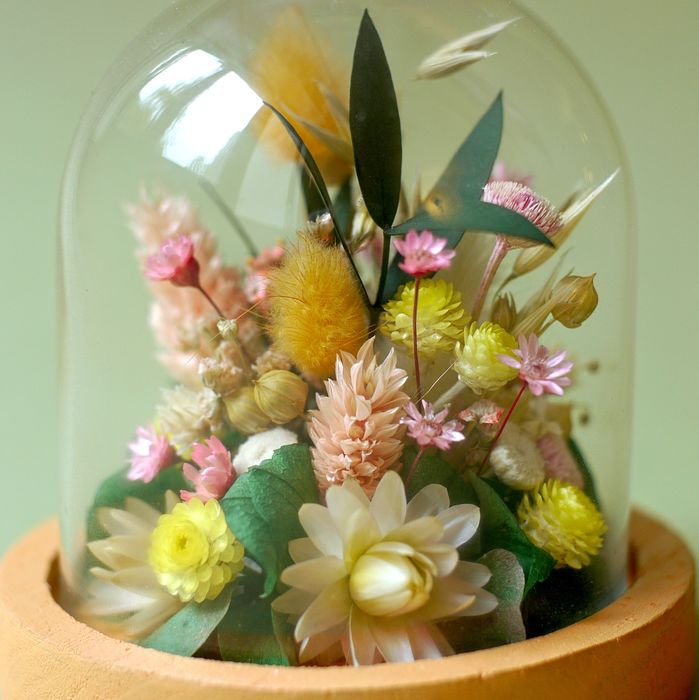 Mini cloche fleurie "Moonrise Kingdom"