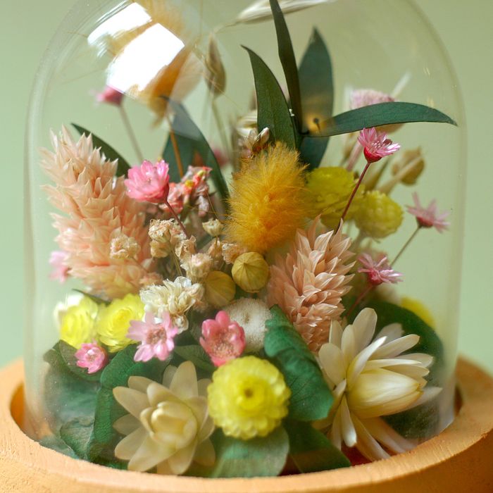 Mini cloche fleurie "Moonrise Kingdom"