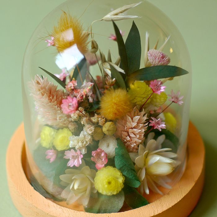Mini cloche fleurie "Moonrise Kingdom"