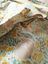 details bloomer a volants