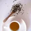 the vert sencha 2