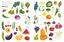 un an a fleurville 4 felicita sala jardinage ecologie ownvoices librairie inclusive antiraciste decoloniale afrofeministe feministe lgbtqia handicap validisme divoersite litterature jeunesse babelio aj brut les enfants du bruit et de l odeur