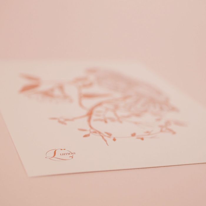 Cartes A5 cuivrées Paon & Perroquet