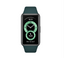 band 6 vert