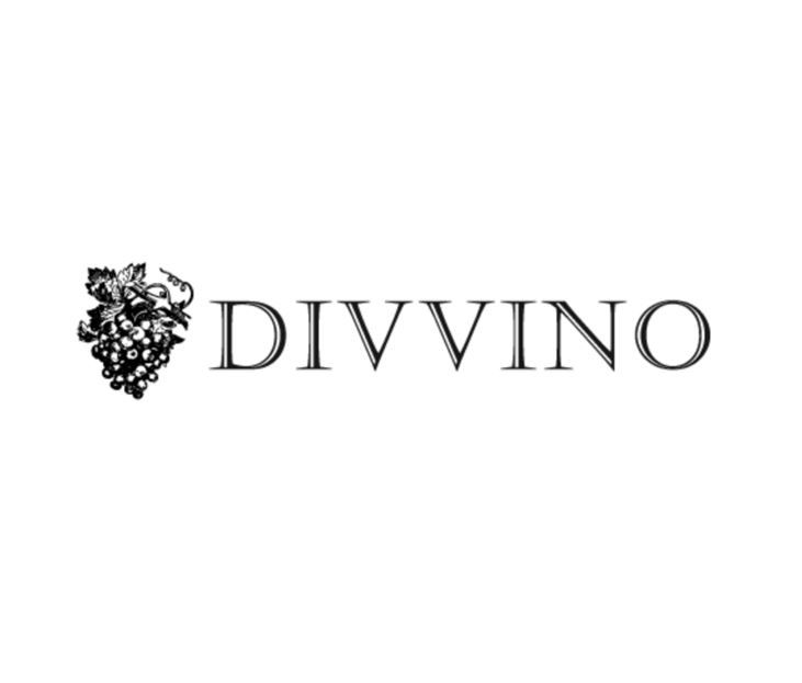 logo divvino