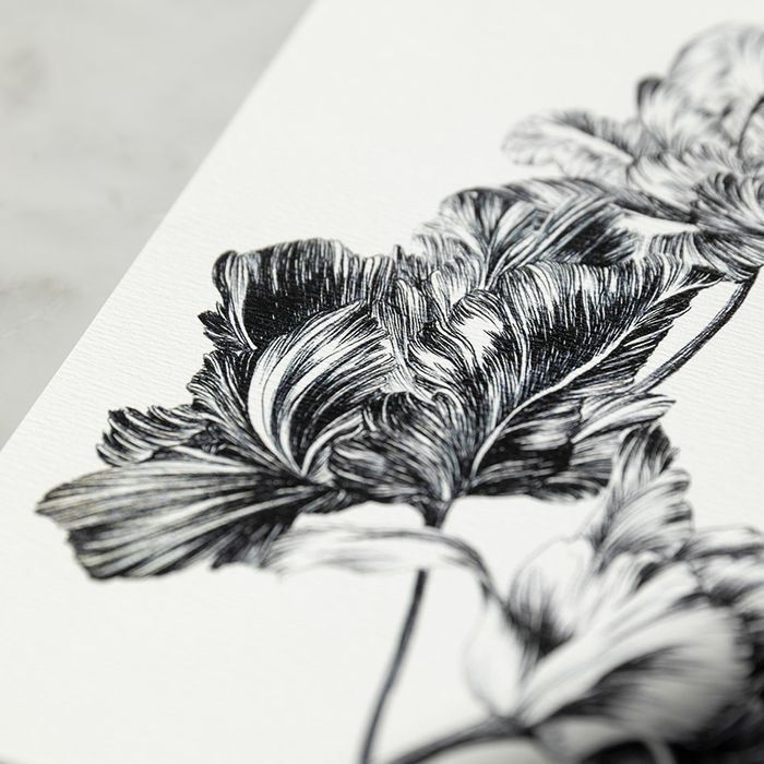 Carte A5 Tulipine