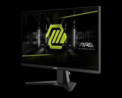 MSI MAG 255F E20 Ecran gaming 24.5"