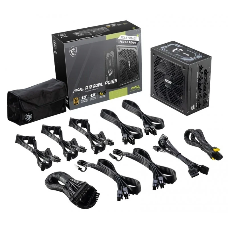 MSI MAG A1250GL PCIE5 Alimentation