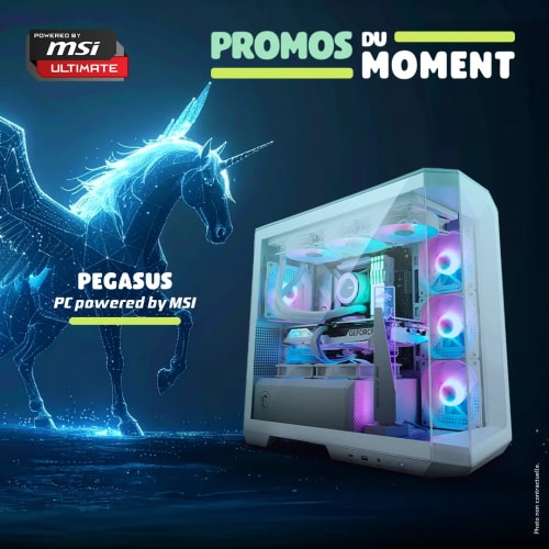 PC GAMER MASTER PEGASUS