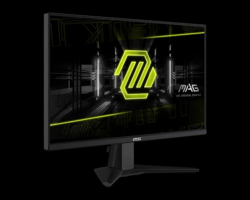 MSI MAG 255F E20 Ecran gaming 24.5"