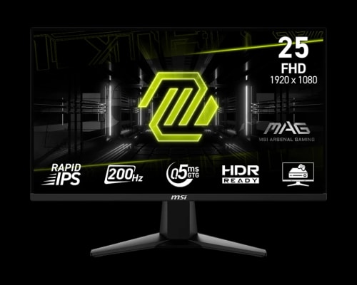 MSI MAG 255F E20  Ecran gaming 24.5"