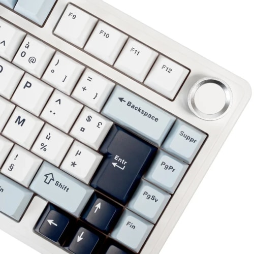 Aula F75 Clavier Mécanique Gasket à 75%, sans Fil/BT/USB-C, avec Cinq Couches de Coussinets, Bouton, RVB, Batterie, NKRO,QWERTY (Light Blue, LEOBOG Reaper Switch)