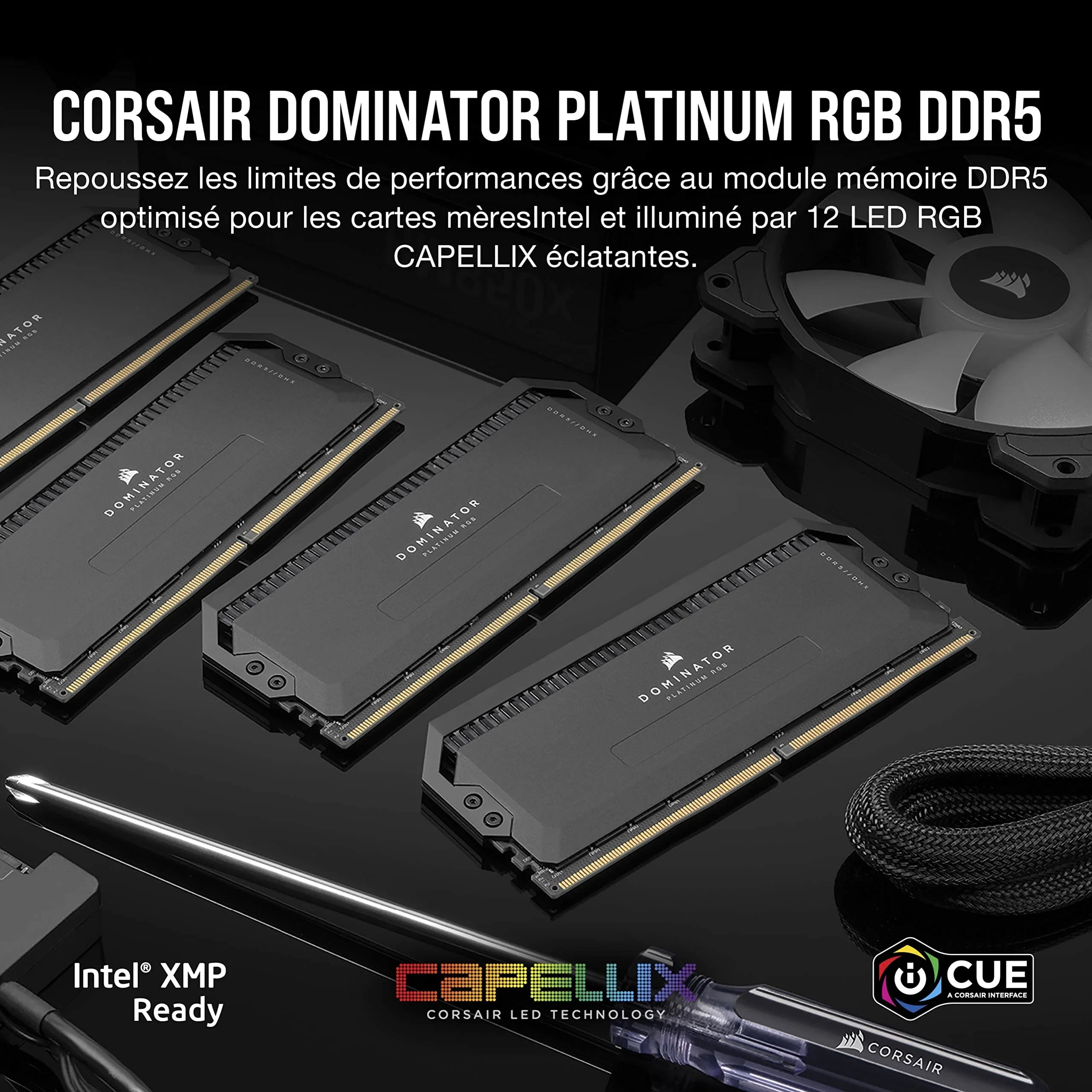 CORSAIR Dominator Platinum RGB DDR5 RAM 32Go (2x16Go) 5600MHz CL36 Intel XMP Compatible iCUE Mémoire d'Ordinateur - Noir (CMT32GX5M2X5600C36)