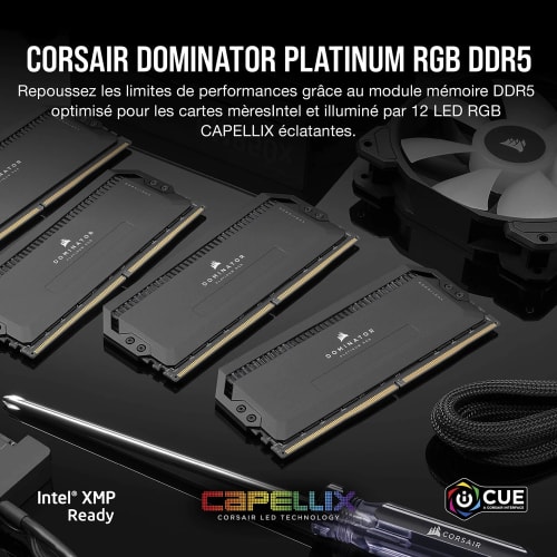 CORSAIR Dominator Platinum RGB DDR5 RAM 32Go (2x16Go) 5600MHz CL36 Intel XMP Compatible iCUE Mémoire d'Ordinateur - Noir (CMT32GX5M2X5600C36)