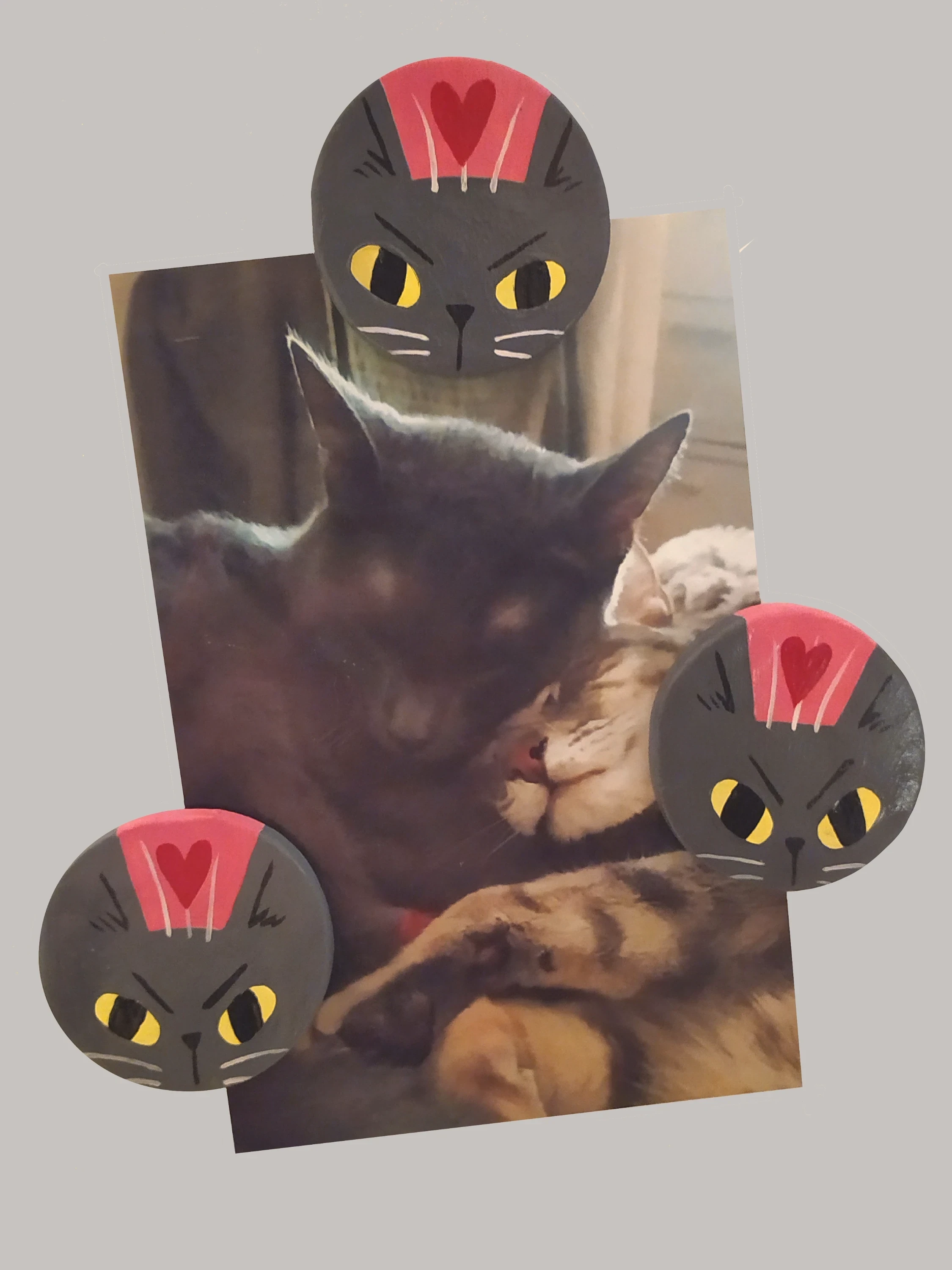 ☀ Caillou le petit chat ☀