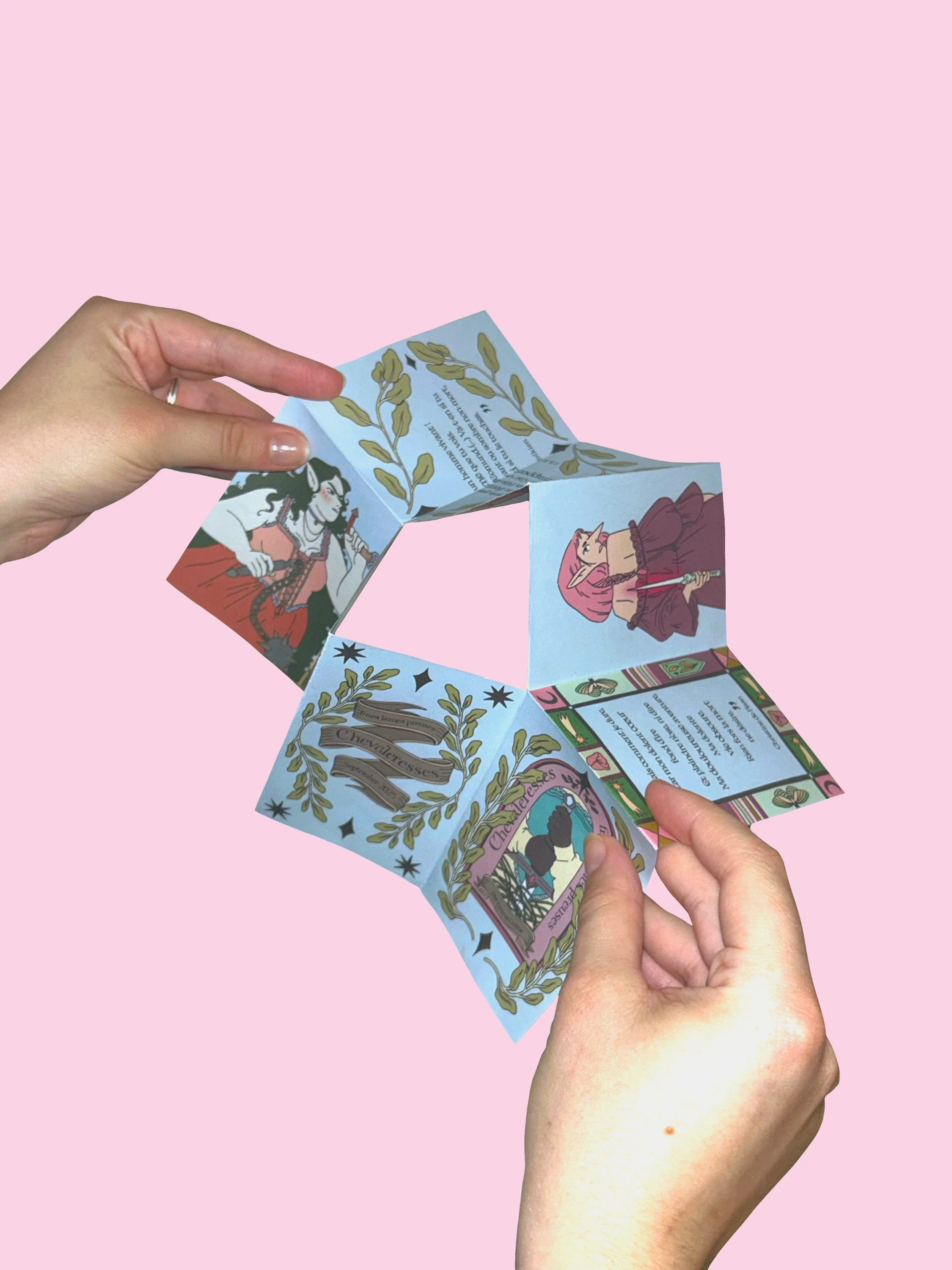 ☀ Zine "Chevaleresses"* ☀