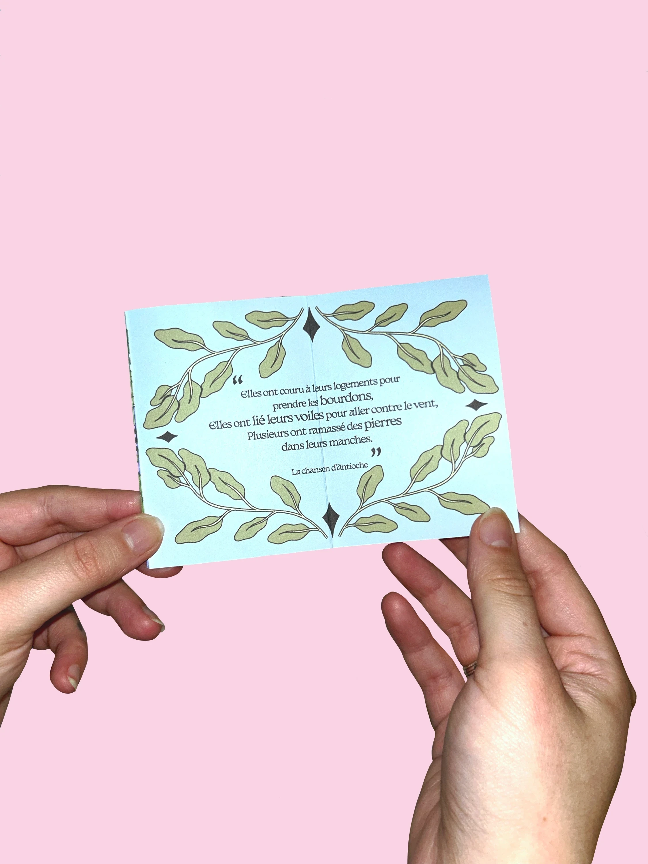 ☀ Zine "Chevaleresses"* ☀