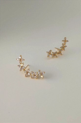 CLOUS D’OREILLES 044