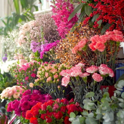 boutique fleurs fraiches Belleville