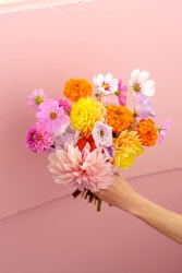 bouquet de mariée fleurs fraîches coloré zinnia dahlia