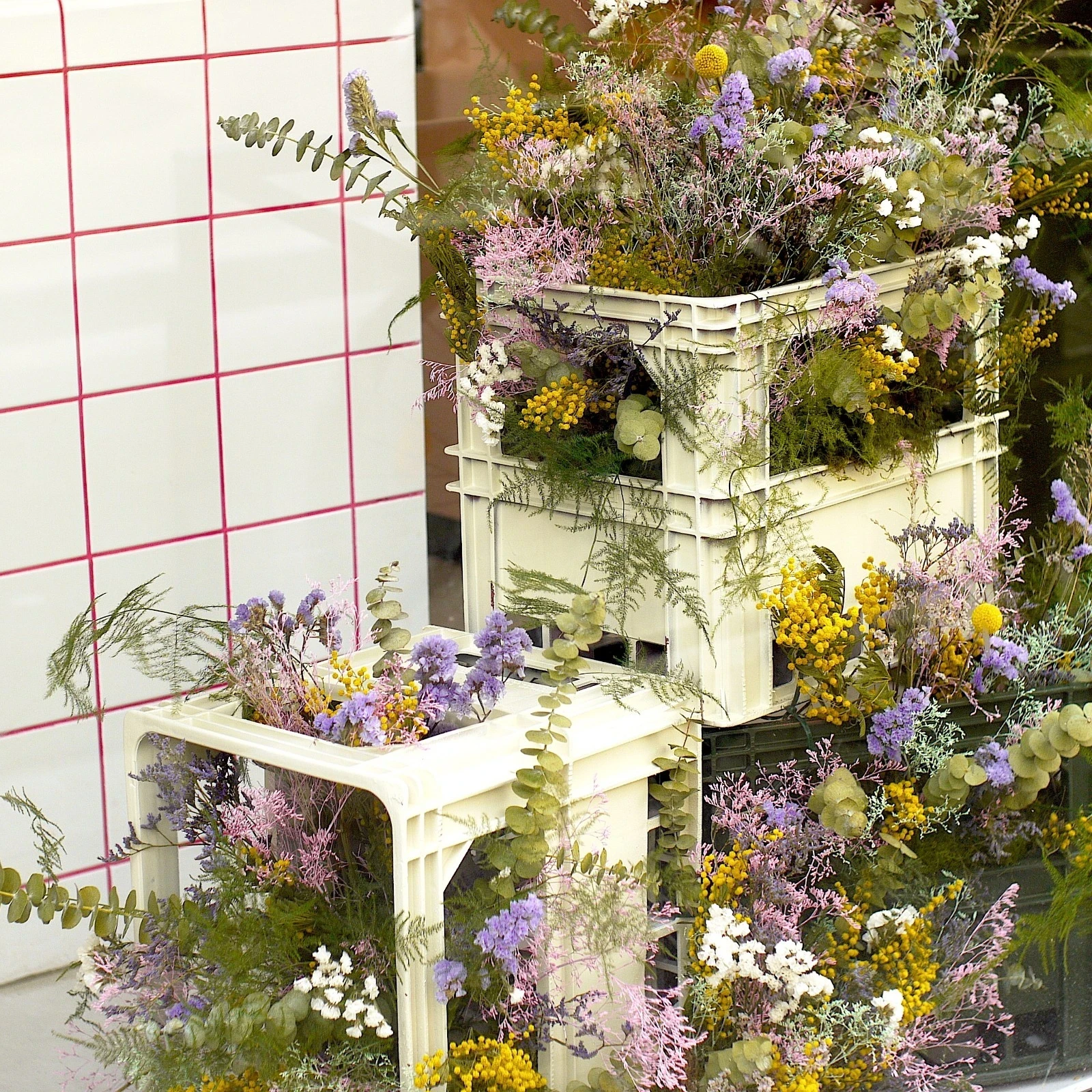 Abonnement professionnel caisse de marché décor de vitrine fleurs séchées