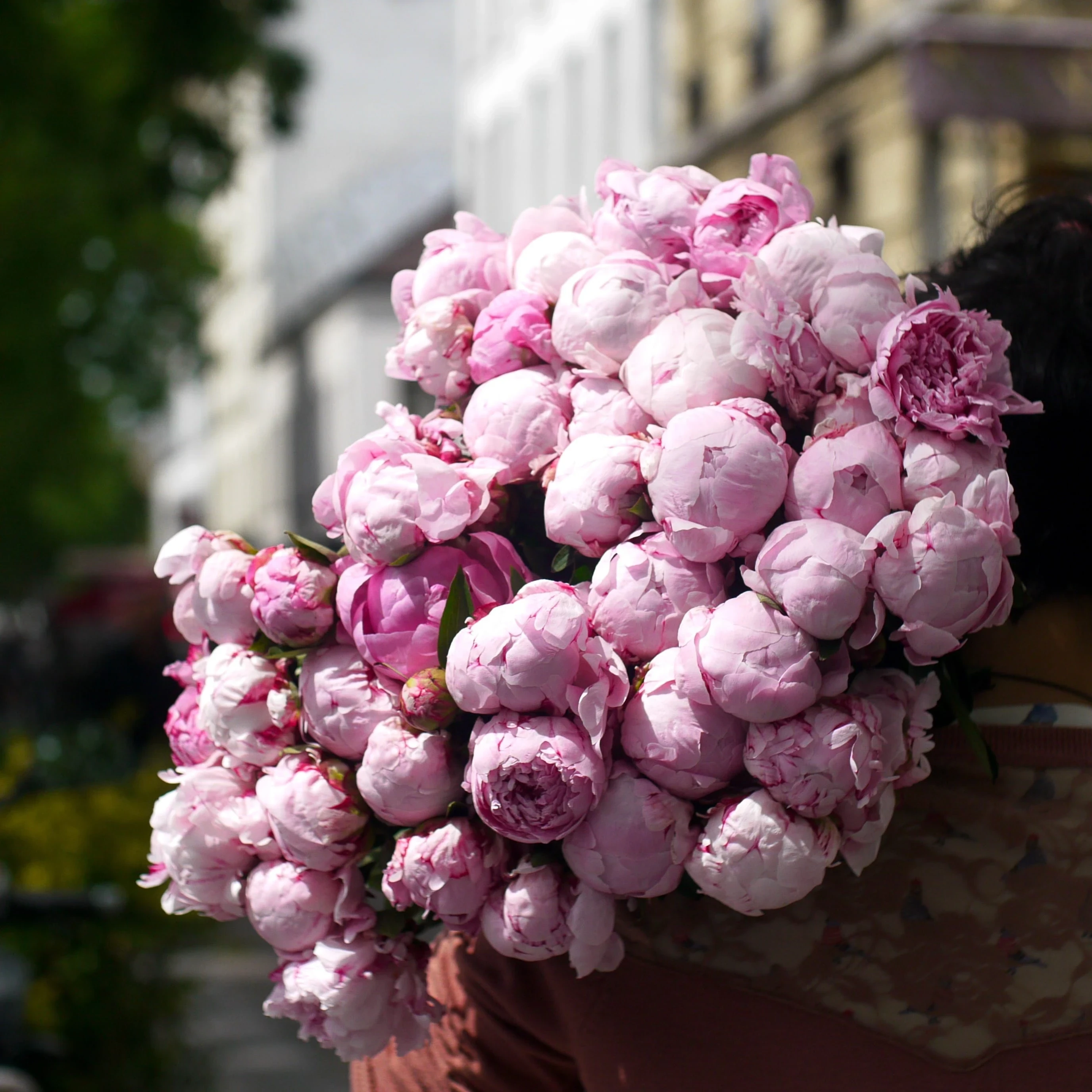 pivoine Sarah Bernhardt fleurs françaises fleurs locales fête des mères printemps