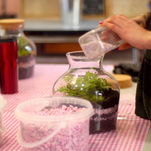 Atelier DIY Terrarium