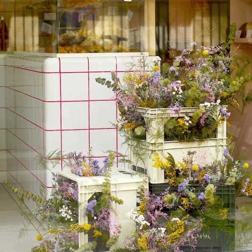 caisses marché fleurs séchées