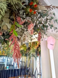 Plafond végétal fleurs séchées combat Belleville