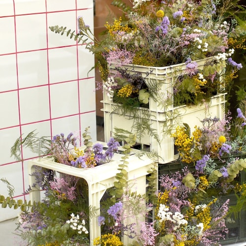 Abonnement professionnel caisse de marché décor de vitrine fleurs séchées