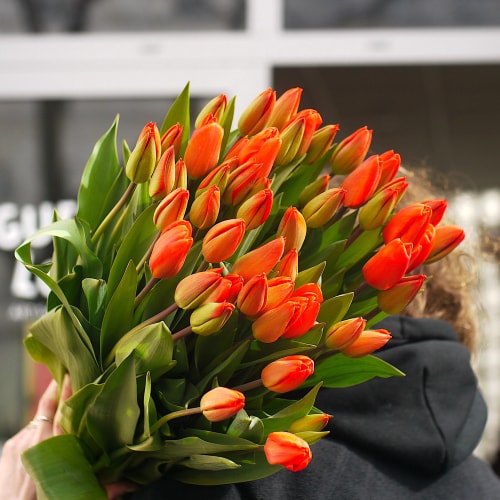 fleurs fraîches tulipes orange fleurs locales fleurs françaises
