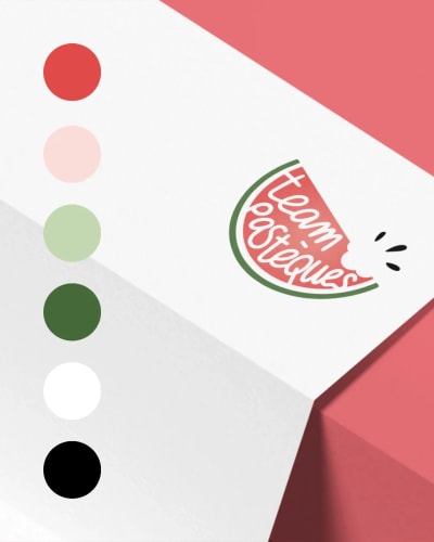 Logo 'Team Pastèques' sur un fond coloré avec des étagères de couleurs rouge, rose, vert clair, vert foncé, blanc et noir.