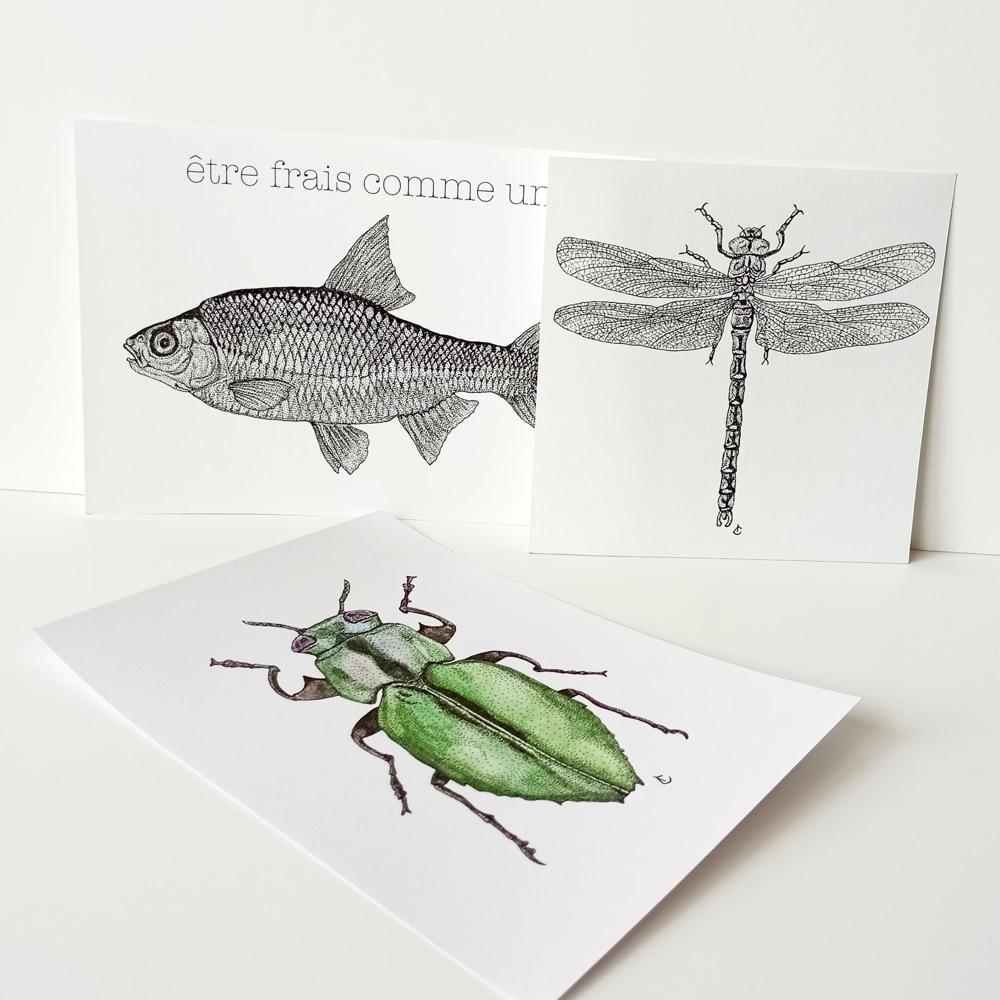 Prints Animaux