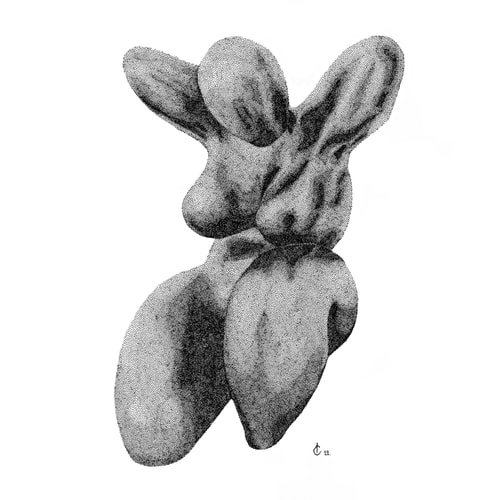 D'après Black Vénus de Aude Herlédan