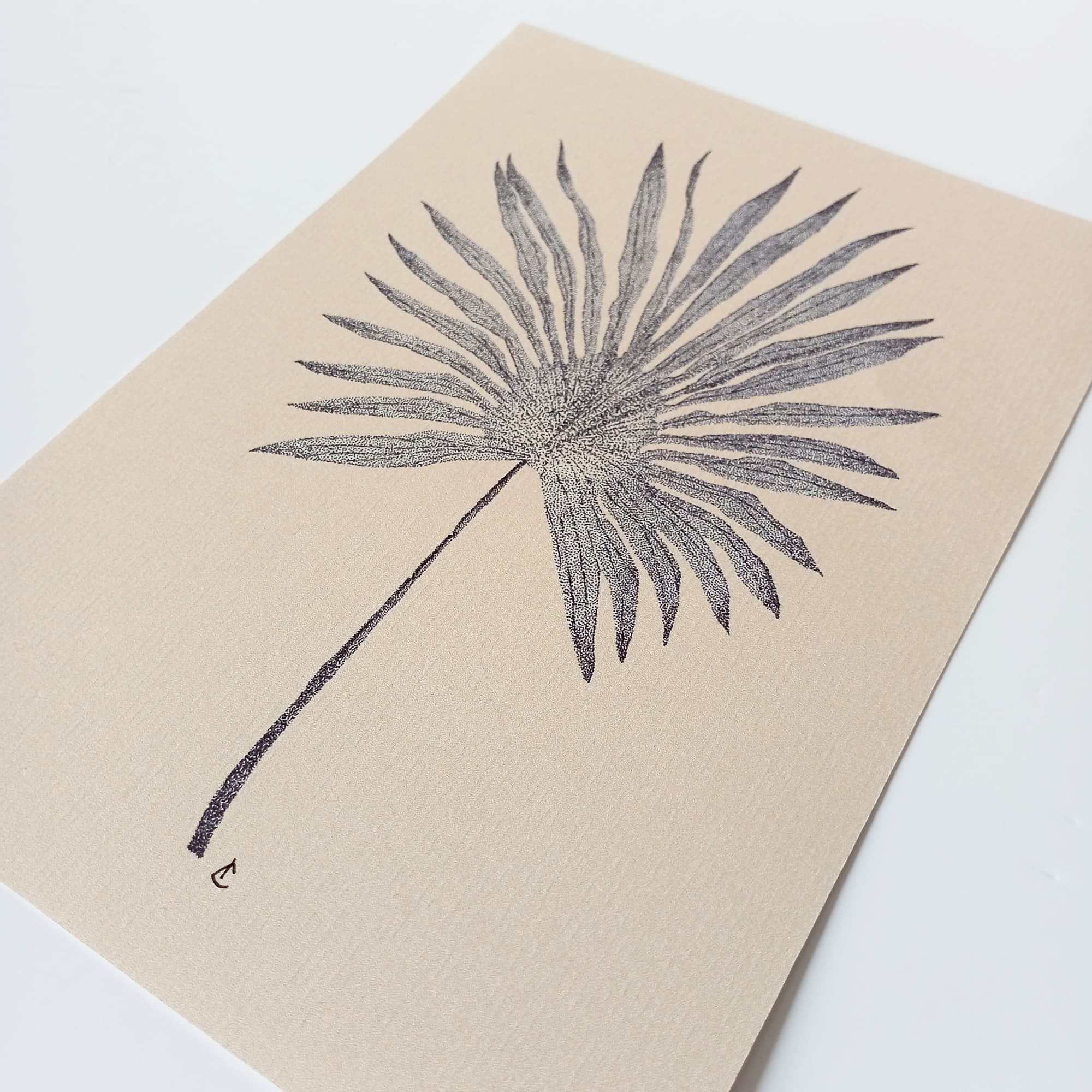 Prints Plantes couleur