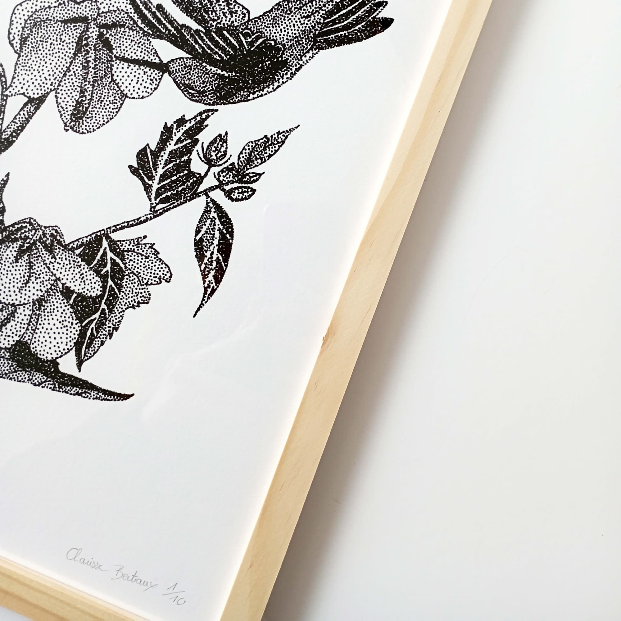 Impression d'art Colibris