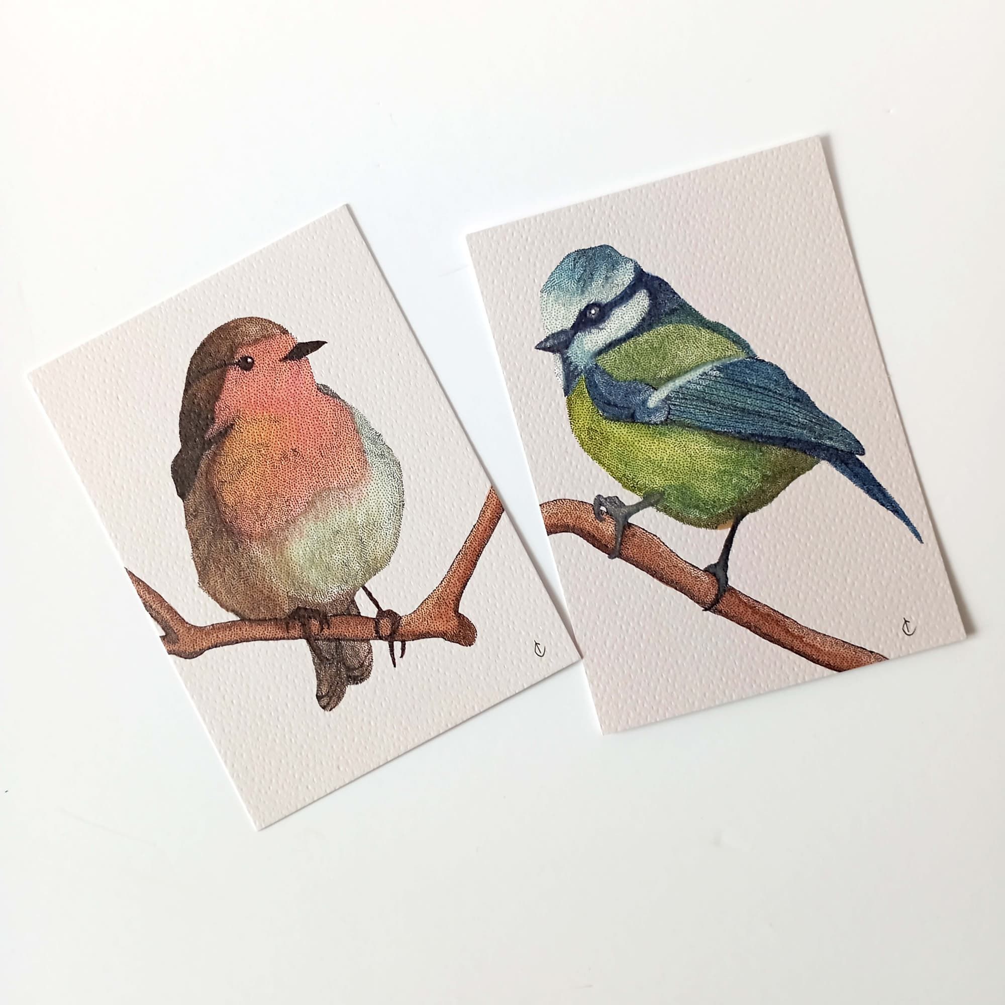 Cartes postales Oiseaux