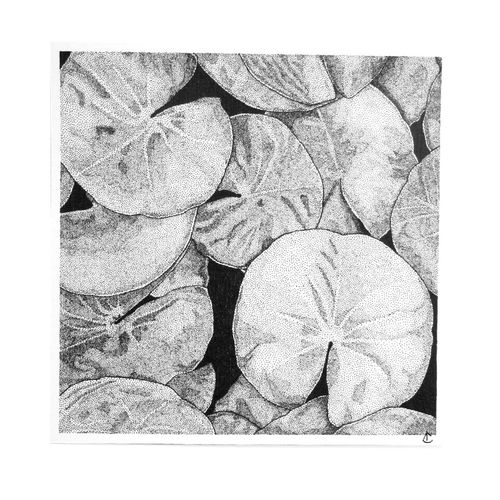 Print Nymphéas nénuphars 15x15 cm