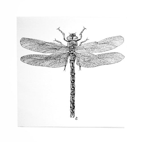Print Libellule 15x15 cm